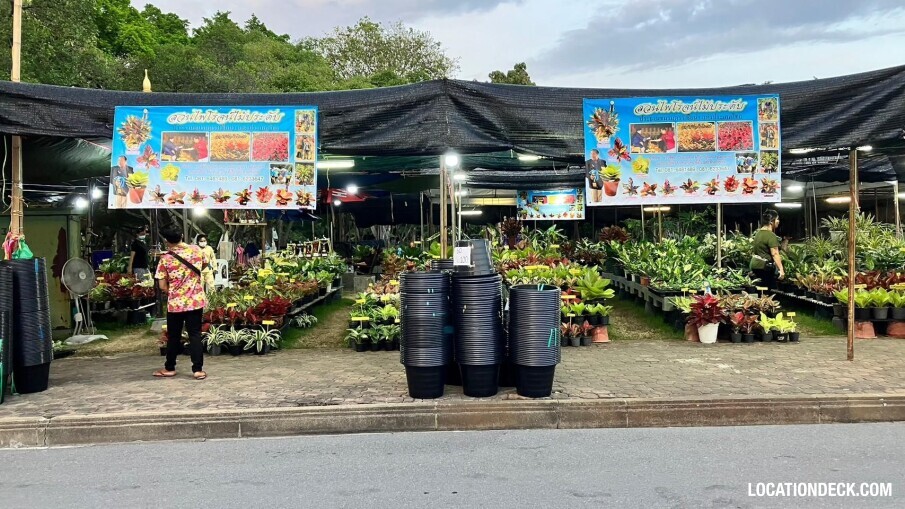 Suan Luang Rama  9 - Bangkok, Thailand Filming Location