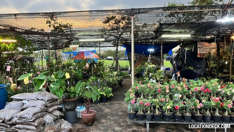 Suan Luang Rama  9 - Bangkok, Thailand Filming Location