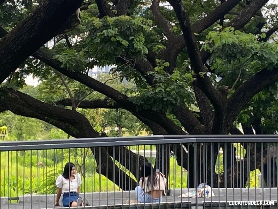 Benchakitti Park - Bangkok, Thailand Filming Location