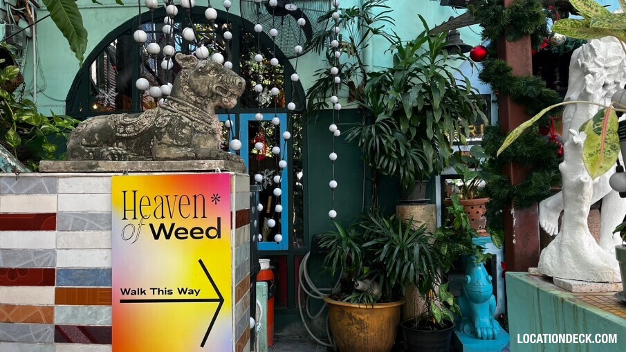 TUBA Bar and Restaurant - Bangkok, Thailand Filming Location